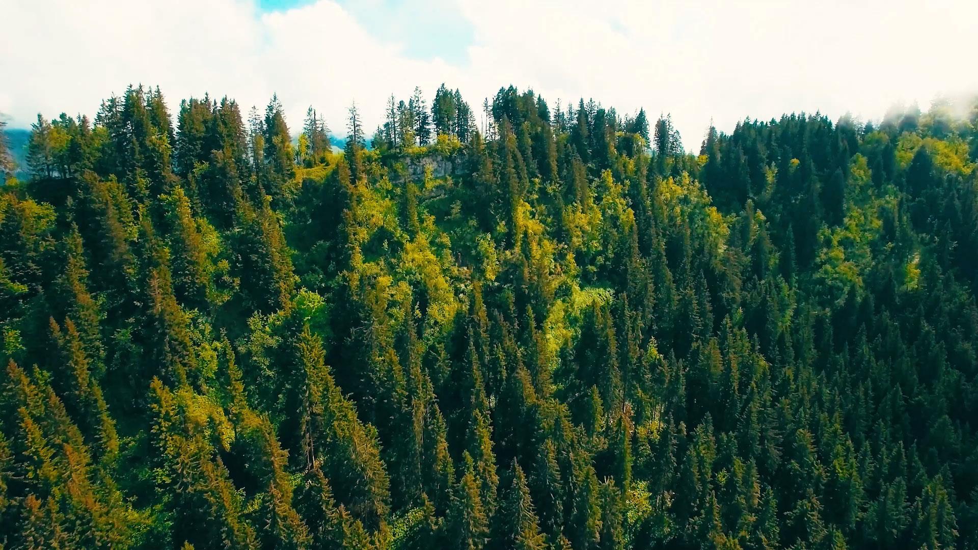 Fuel cells Johnson Matthey