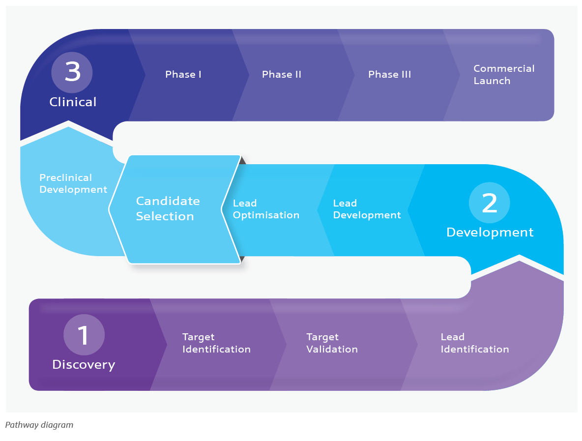 Early form screening strategies pathway