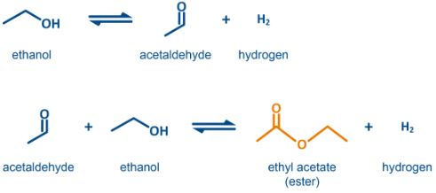 	dehydrogenation-tech-reaction