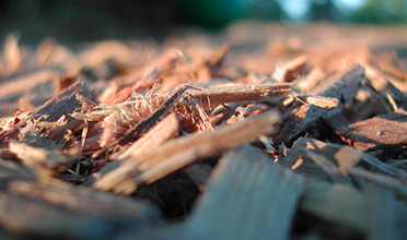A close up of a pile of wood shavings