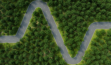 A winding road in the middle of a forest