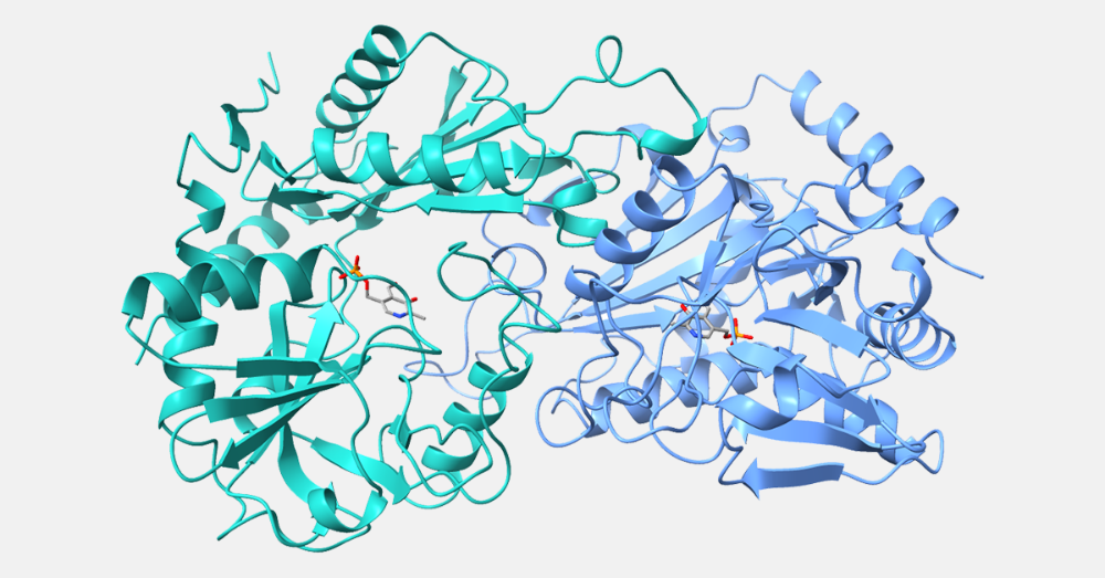 Transaminase Process Transaminase enzyme | Johnson Matthey | Johnson Matthey