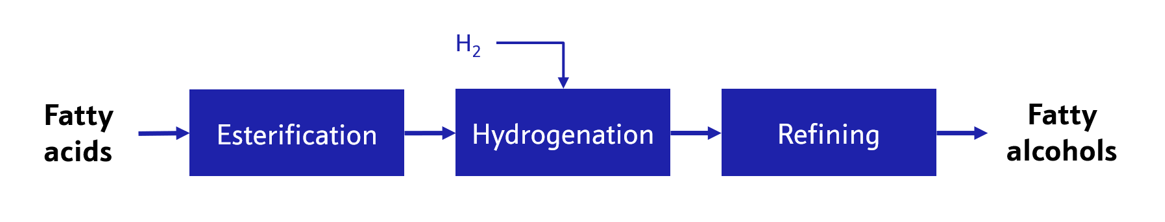 Johnson Matthey natural detergent alcohols production process